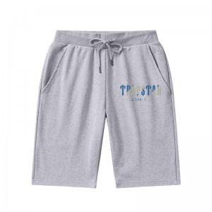 Trapstar It's A Secret Shorts Herre Grå Danmark | FN80-172