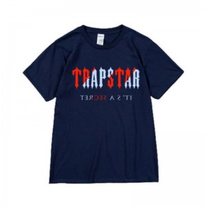 Trapstar It's a Secret Kort Sleeve T Shirts Herre Blå Danmark | RM40-520