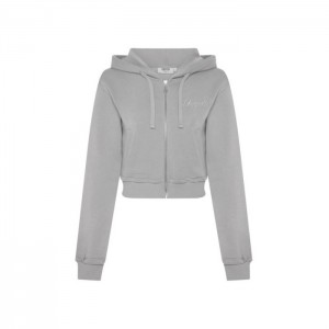 Trapstar TS-Star Silver Satin Applique Hoodie Hættetrøje Dame Grå Danmark | WW11-103